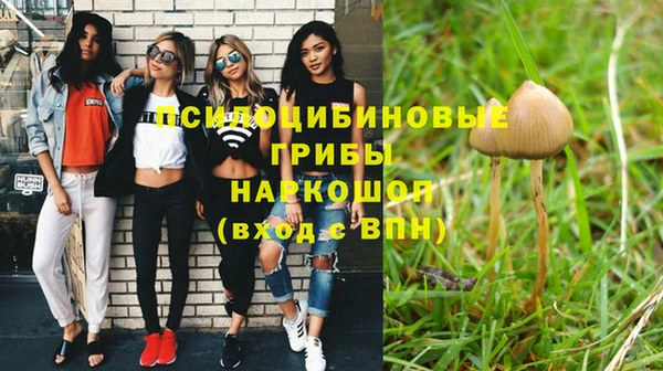 бутират Арсеньев