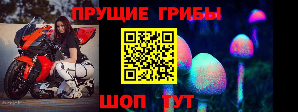 Псилоцибиновые грибы Cubensis  Вход с VPN  Старый Оскол  Псилоцибиновые грибы MAGIC MUSHROOMS 